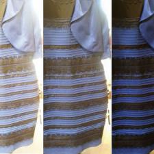 #thedress and Paint Color Selection